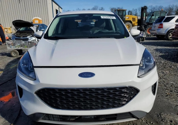 Ford Escape cena 48900 przebieg: 54912, rok produkcji 2021 z Zawidów małe 67